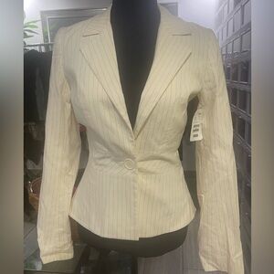 H&M Stretchy Pinstriped Blazer